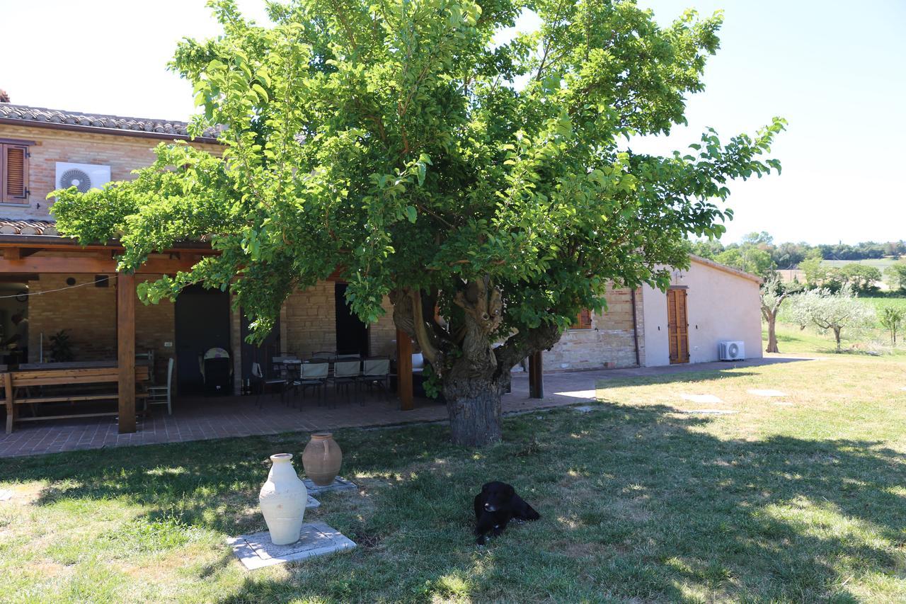 Casale Talevi Villa Cartoceto Buitenkant foto